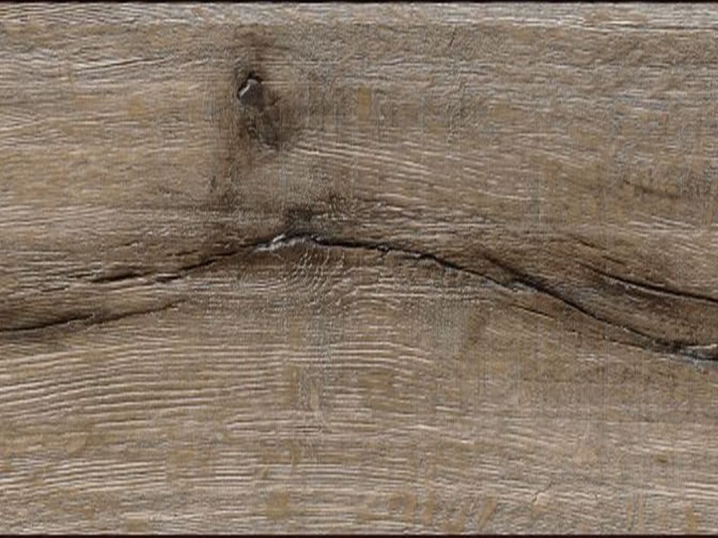 Laminate Jangal 3075 Chico Oak State Park Line Plus 12mm