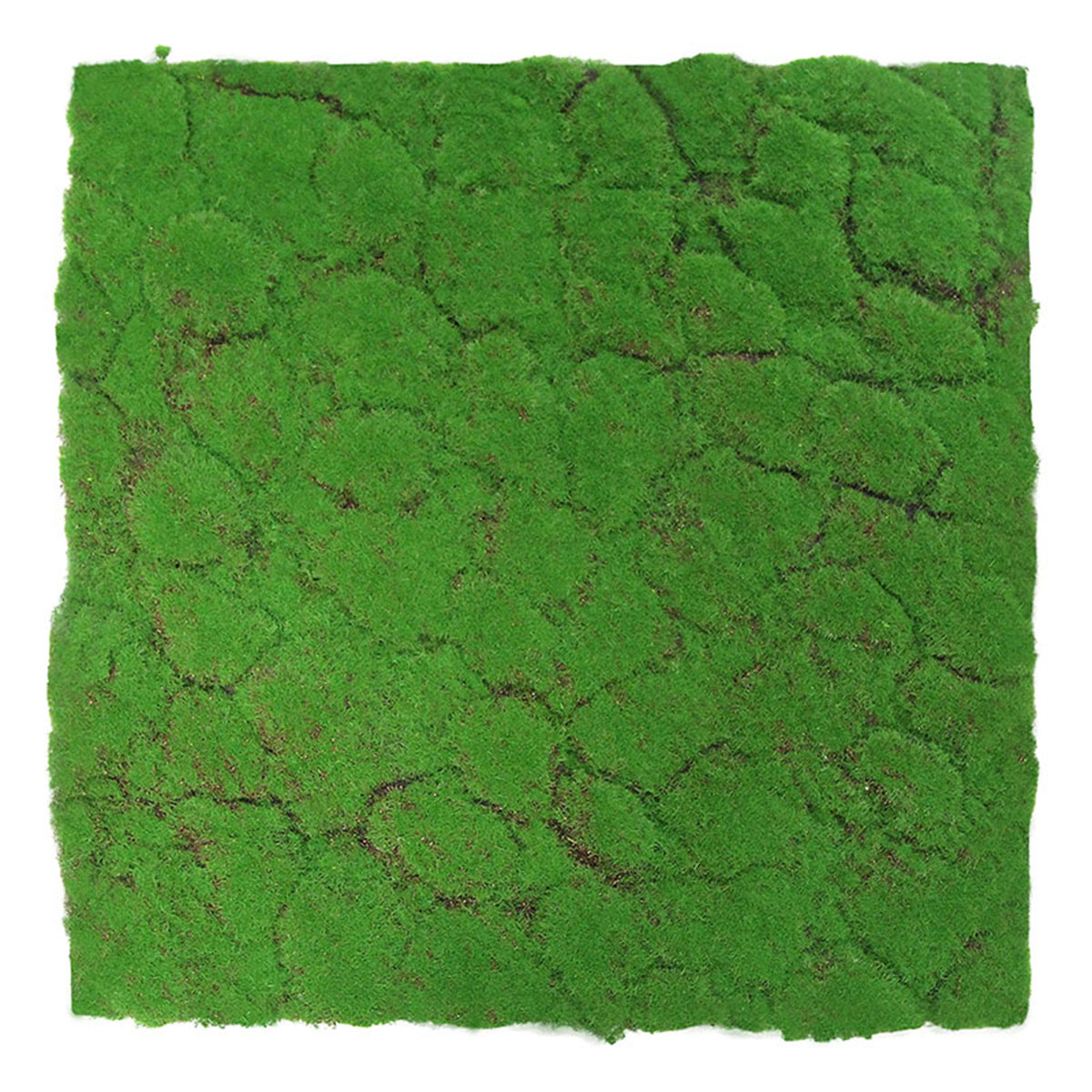 Wandpaneel Jangal Modular Wall 11108 Forest Green Design Moos 52 x 52 cm