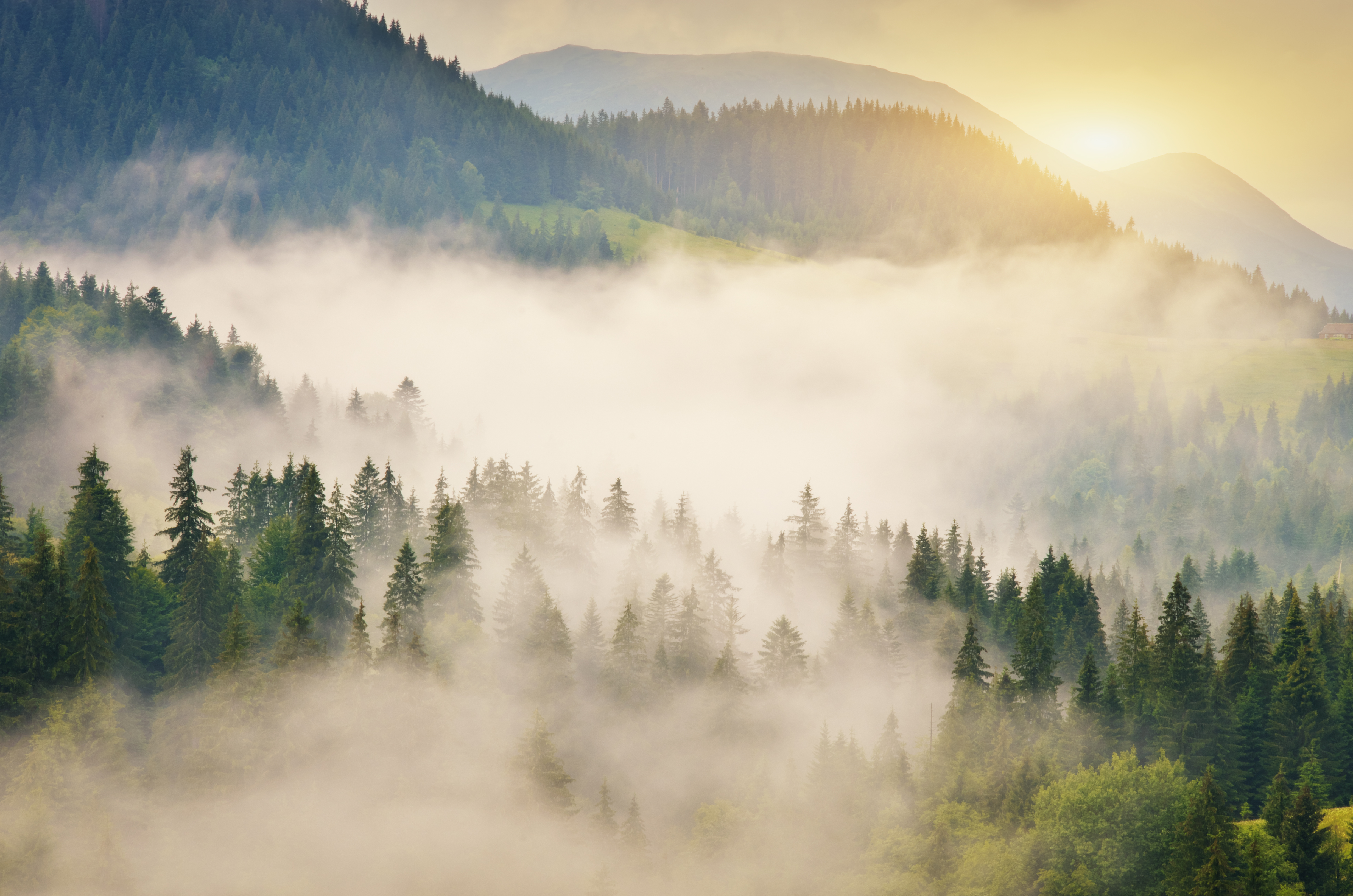 carpathian-mountain-range-at-early-morning-sunrise-2023-11-27-04-58-42-utc