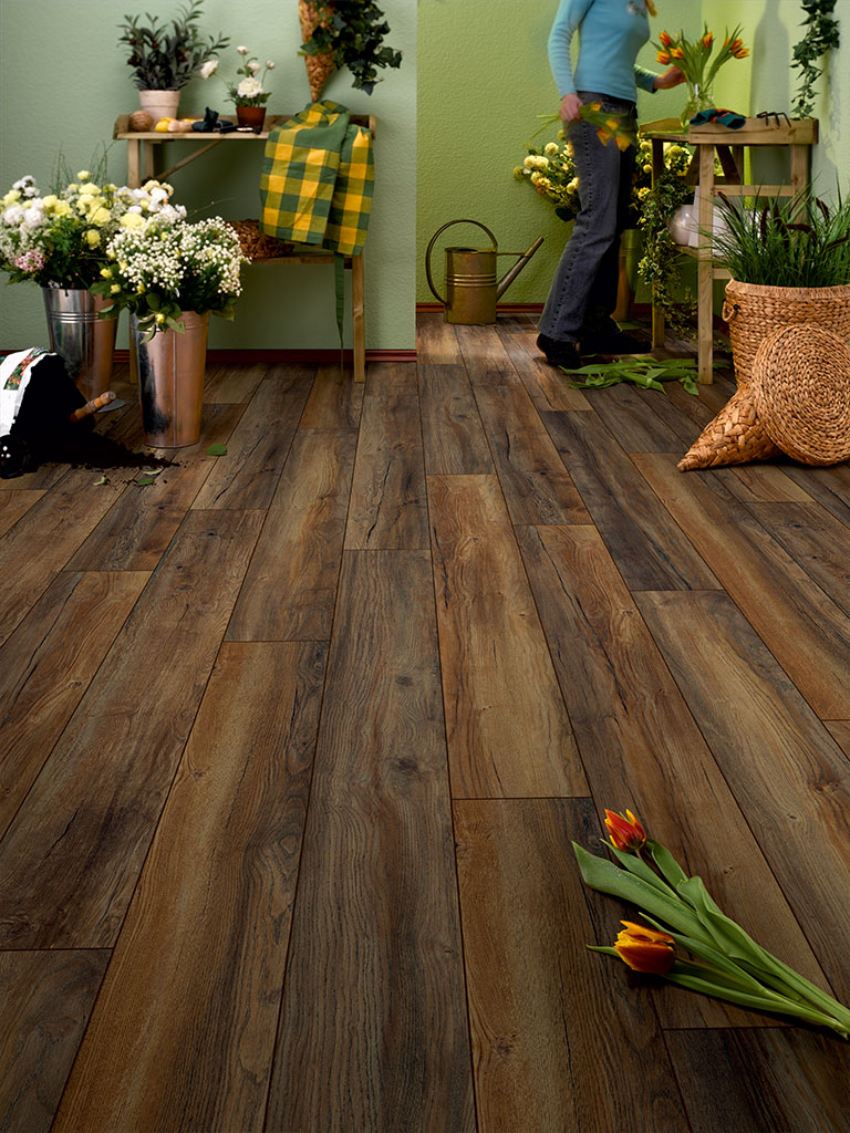 Laminate Jangal 3570 Seaward Oak State Park Line Pro 12mm