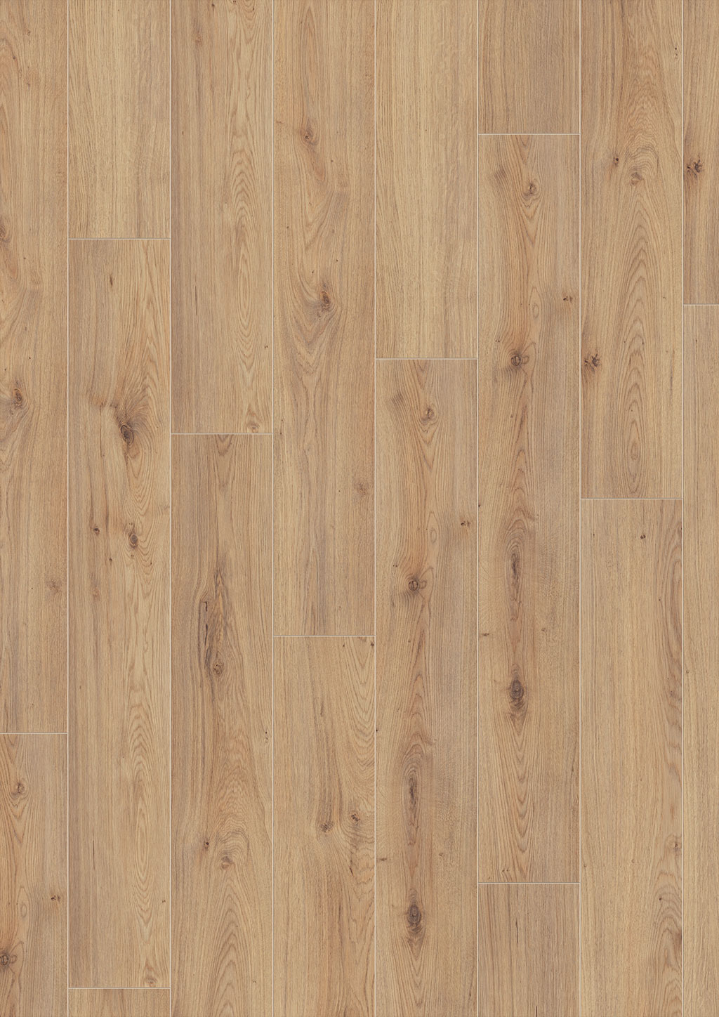 Laminate Jangal 8153 Outamba Oak State Park Line Plus 12mm