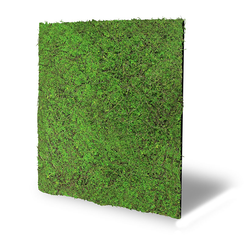 Wandpaneel Jangal Modular Wall 11107 Forest Green Ancient Tree 52 x 52 cm