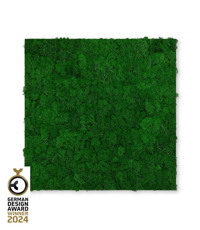 Wandpaneel Jangal Modular Wall 11100 Nature Green Moos 52 x 52 cm ...