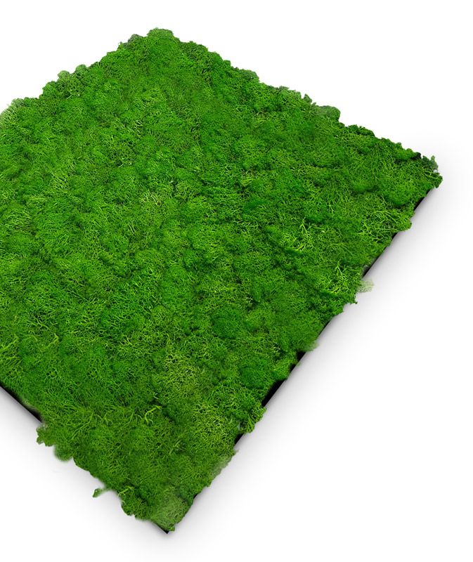Wandpaneel Jangal Modular Wall 11101 Rich Green Moos 52 x 52 cm | 11101 ...