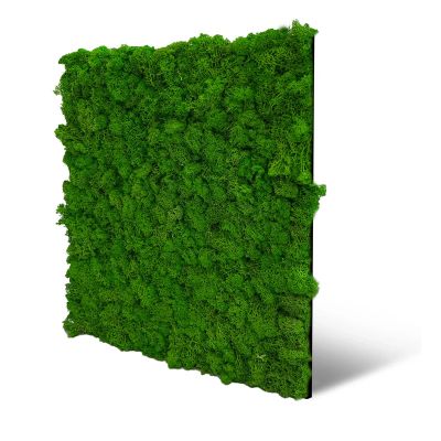 Wandpaneel Jangal Modular Wall 11101 Rich Green Moos 52 x 52 cm | 11101 ...