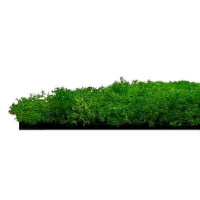Wandpaneel Jangal Modular Wall 11101 Rich Green Moos 52 x 52 cm | 11101 ...